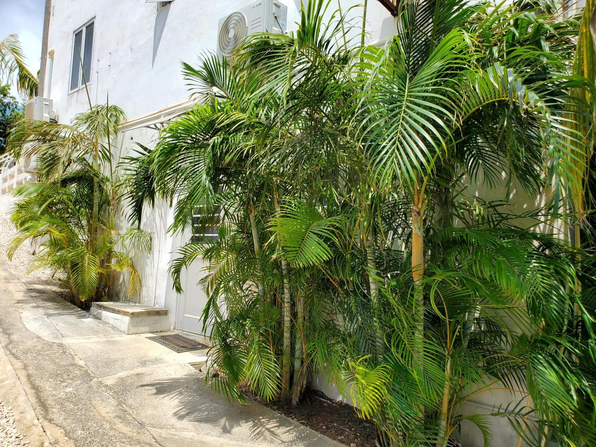 Grand Sun Valley Residences Willemstad Esterno foto