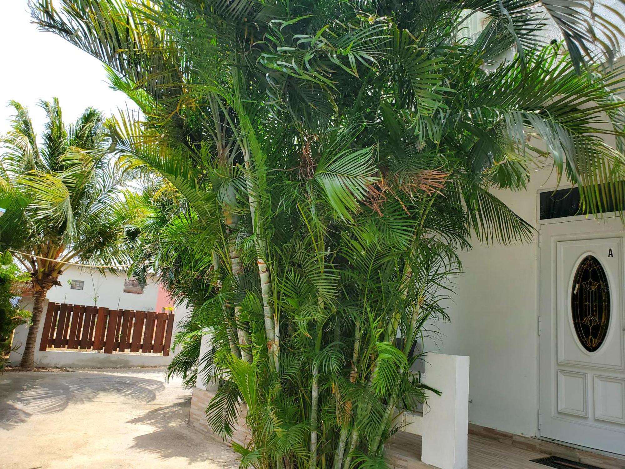 Grand Sun Valley Residences Willemstad Esterno foto
